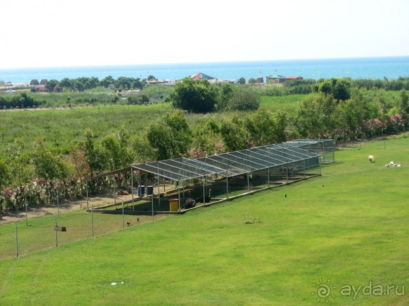 Хороший семейный отель,по евростандартам не выше 4*