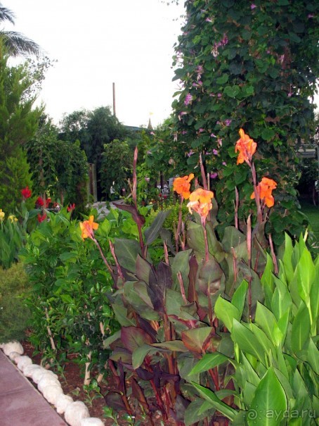 Хороший семейный отель,по евростандартам не выше 4*