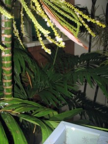 фото Grand Jomtien Palace