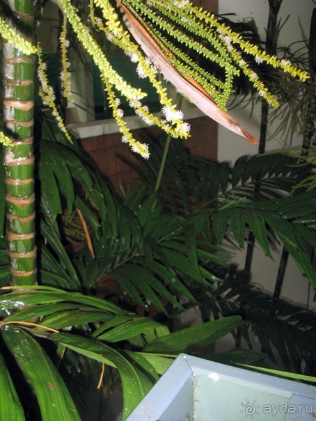 Понравилось