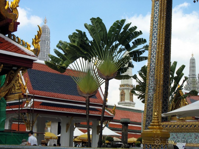 Бангкок. Каменные дзюдоисты.