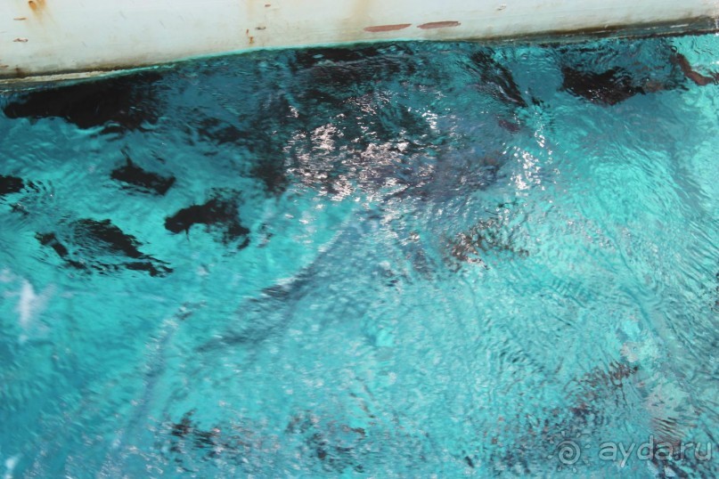 Если заплатить три копейки и ждать 5*, то отель не для ВАС!