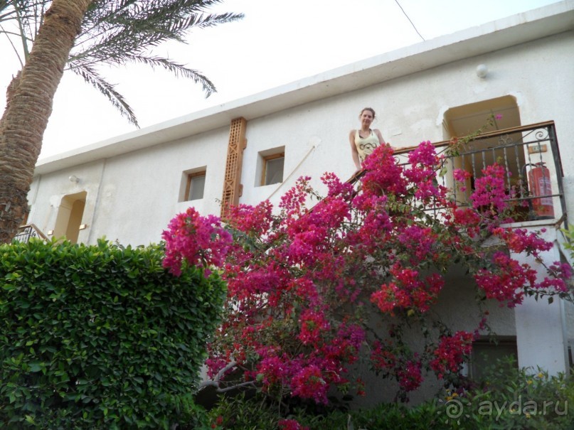 ВОЗВРАЩЕНИЕ В ЕГИПЕТ 13 ЛЕТ СПУСТЯ