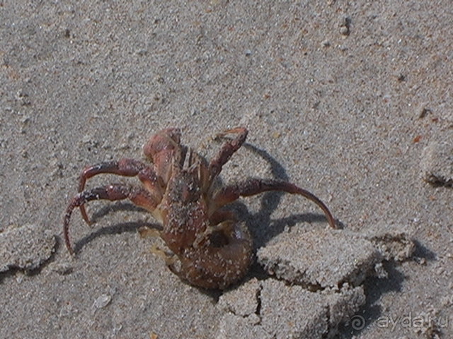 Спокойненько. Чистенько, но не пляже.