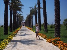 Пальмовая аллея