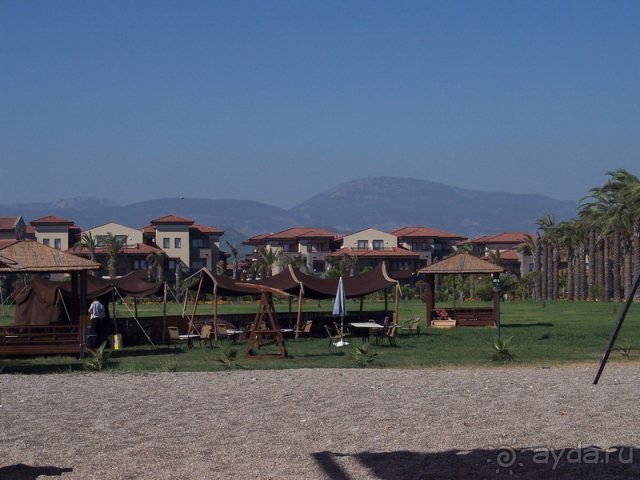 Беседки для отдыха и качели рядом с пляжем и баром