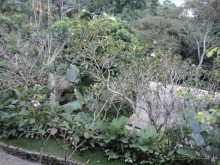 фото Hotel Tjampuhan & Spa