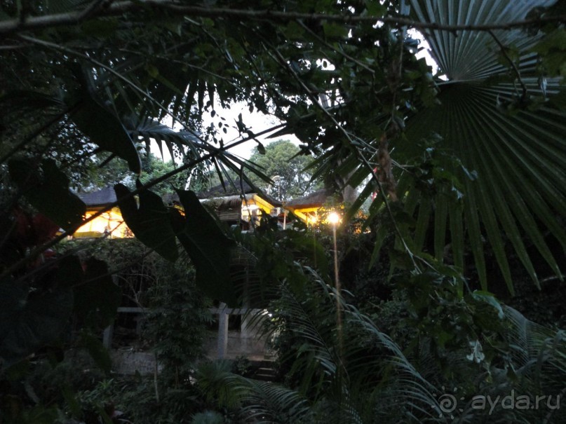 Сказка Киплинга