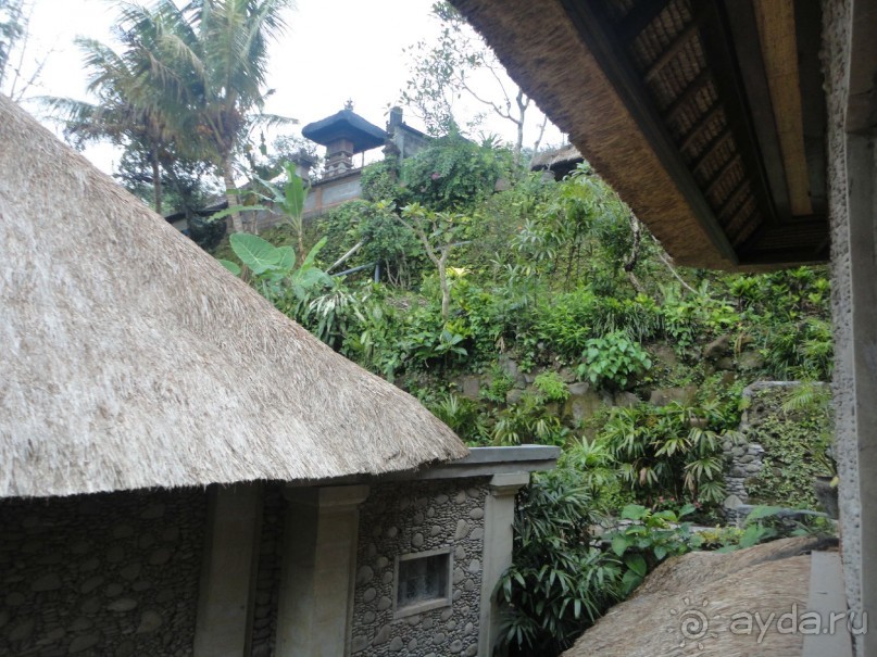 Сказка Киплинга