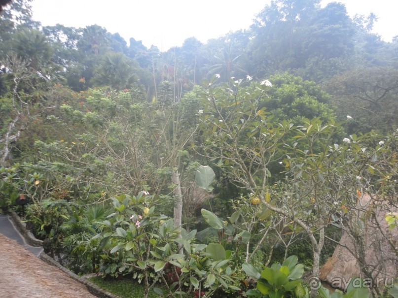 Сказка Киплинга