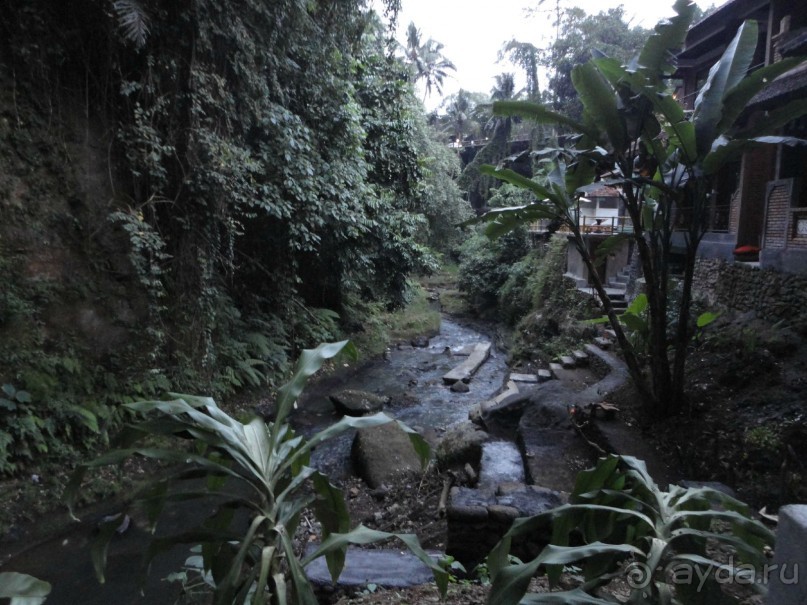 Сказка Киплинга