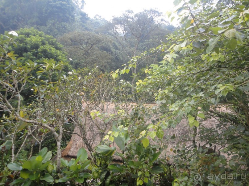 Сказка Киплинга