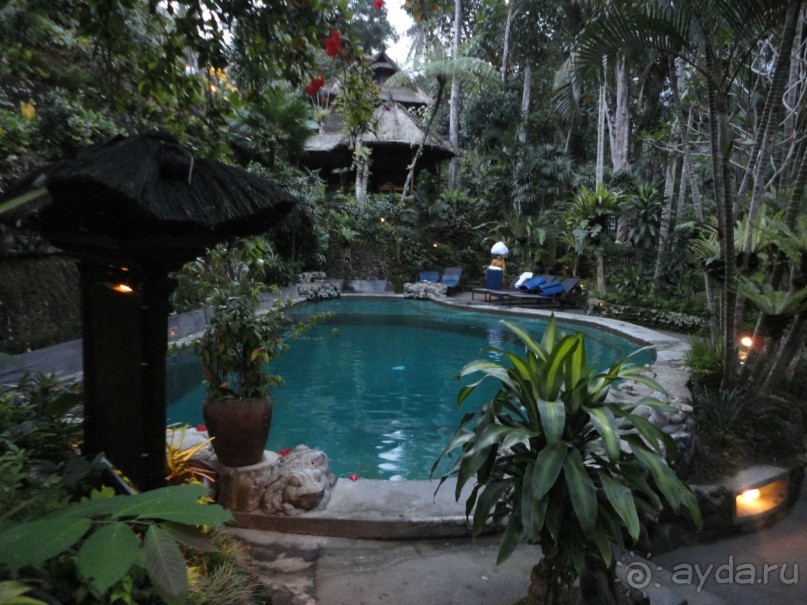 Сказка Киплинга