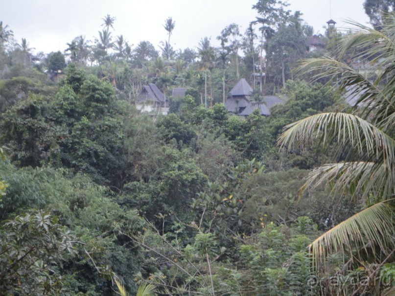 Сказка Киплинга