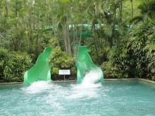 Индонезия изнутри.