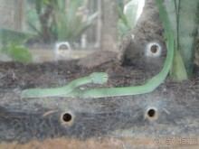 Индонезия изнутри.