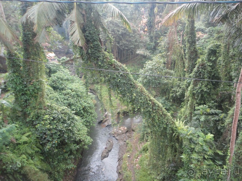 Индонезия изнутри.