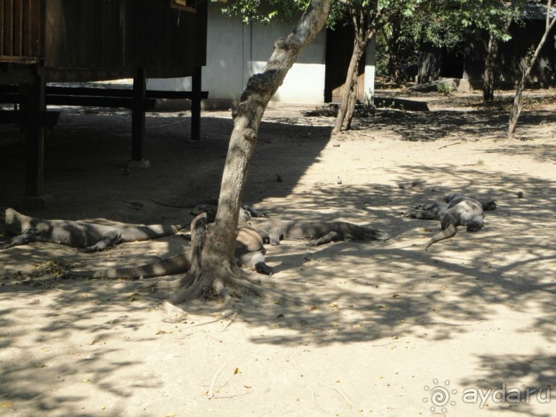 Индонезия изнутри.