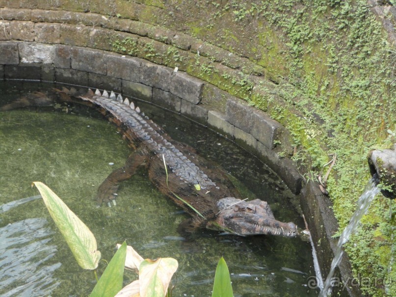 Индонезия изнутри.