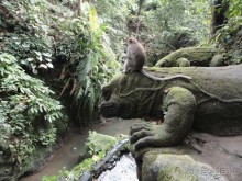 Индонезия изнутри.