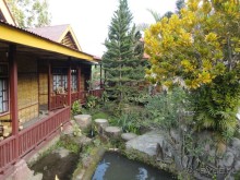 Индонезия изнутри.