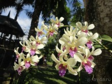 Индонезия изнутри.