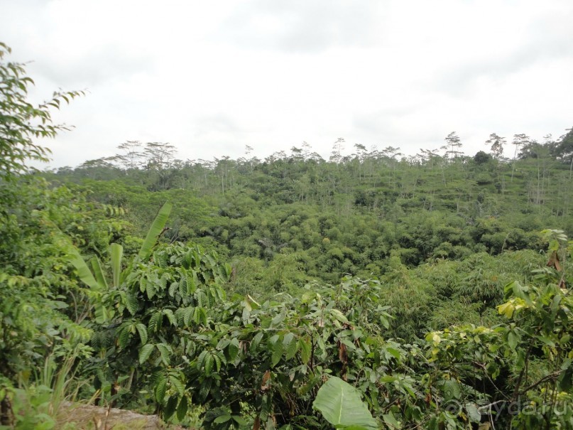 Индонезия изнутри.