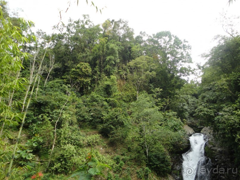 Индонезия изнутри.