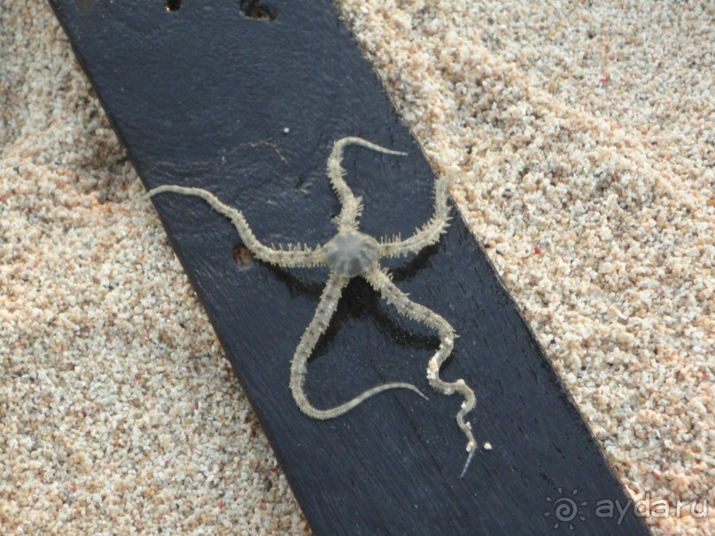 Индонезия изнутри.