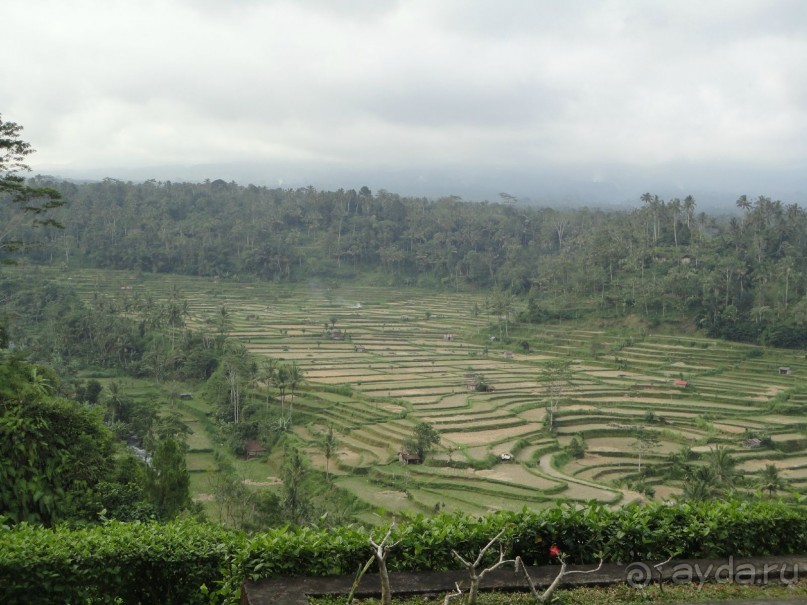 Индонезия изнутри.