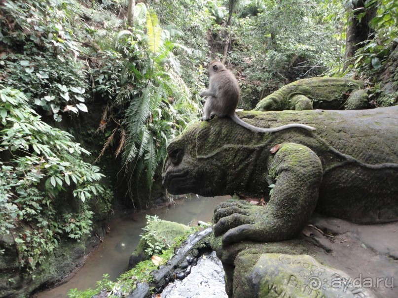 Индонезия изнутри.