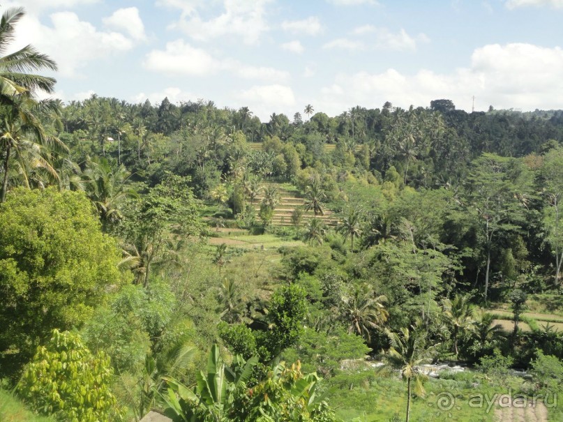 Индонезия изнутри.