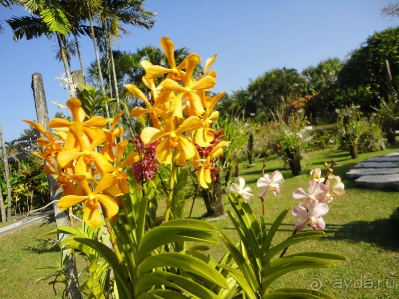 Индонезия изнутри.