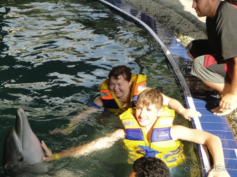 Индонезия изнутри.