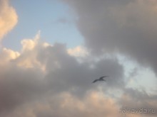 Карибский рай