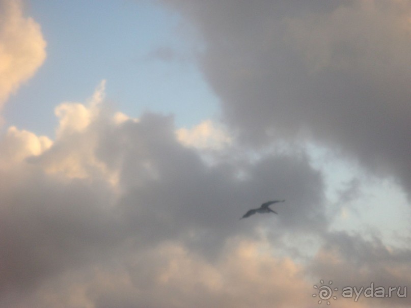 Карибский рай