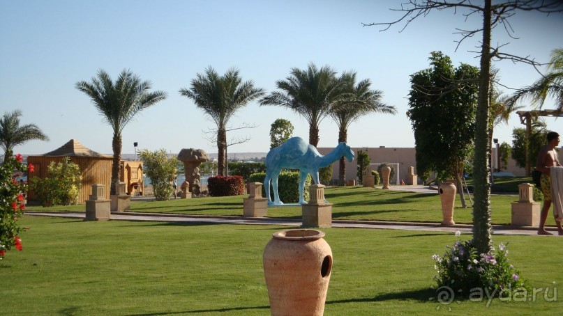 фото Pickalbatros Palace Resort Hurghada