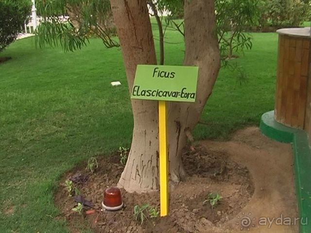 Отлично для неизбалованного туриста!