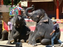 фото Phuket Graceland Resort & Spa