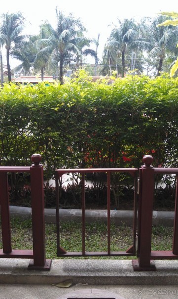 фото Звездный