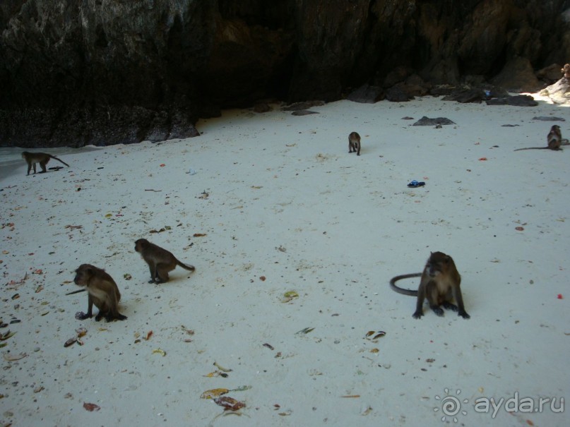 Неплохой отдых в Таиланде, но отель не очень понравился