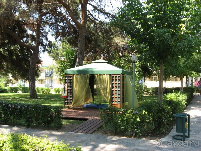 Цветущая сказка