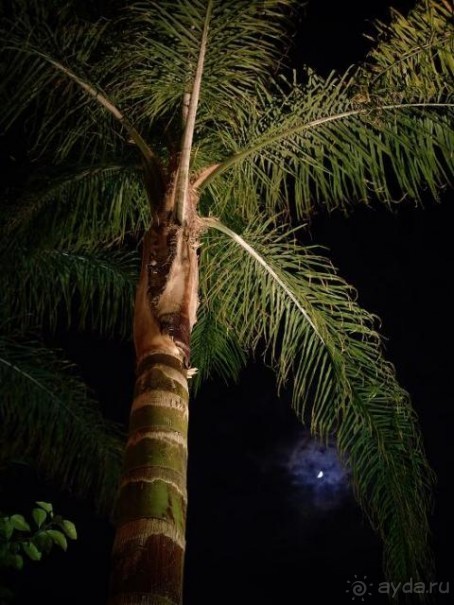 фото Dobedan Beach Resort Comfort