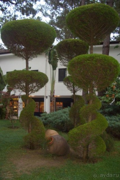 фото Baia Kemer Club 