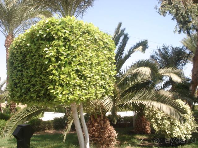 фото Emerald Resort & Aqua Park