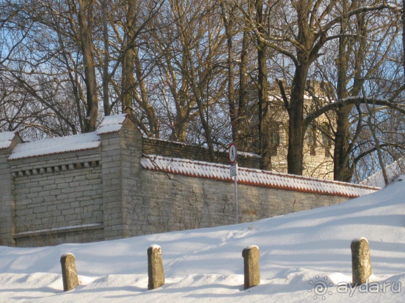 Зимний Таллинн