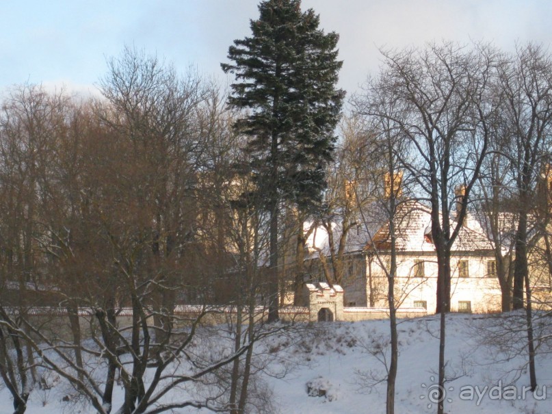 Зимний Таллинн