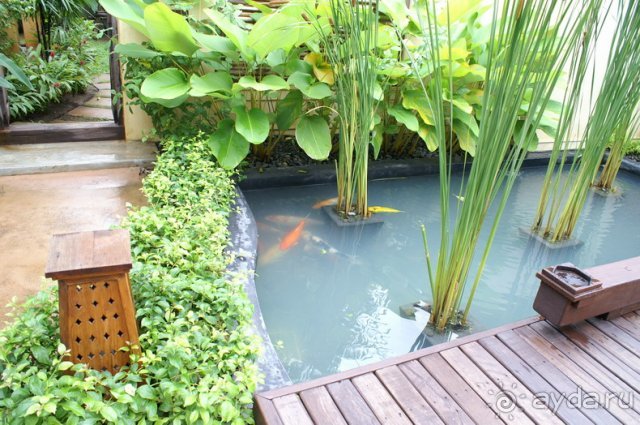 Buri Rasa Территория отеля