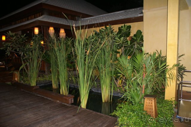 Buri Rasa Территория отеля