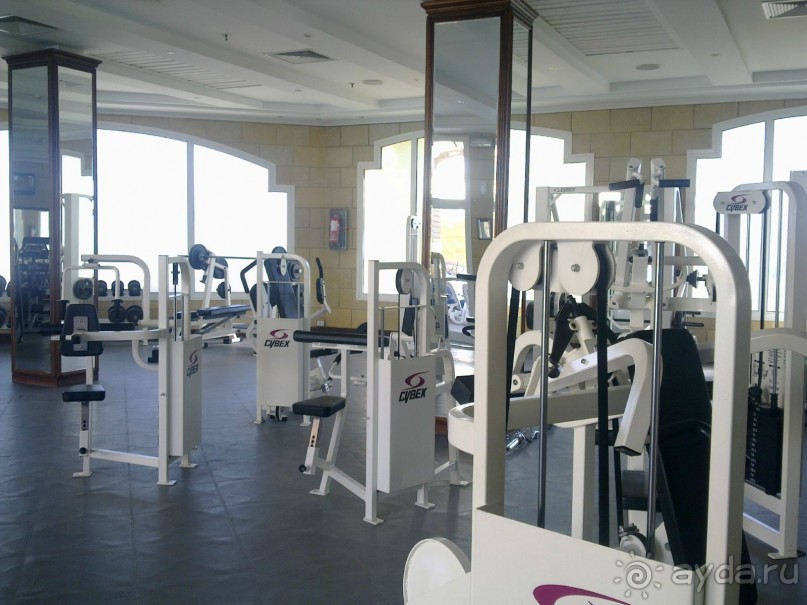 Люкса нет или Аэрофлот - «мучители людей» (АК-урод)